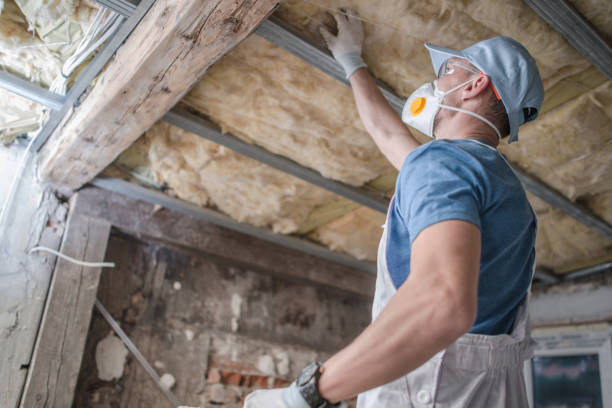 North Pearsall, TX Insulation Contractor Company