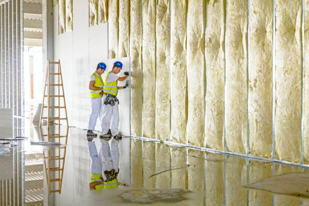 Insulation Replacement Services in North Pearsall, TX